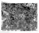 Fig. 08 - Nanotube/metal substrate composites and methods for producing such composites
