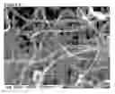 Fig. 09 - Nanotube/metal substrate composites and methods for producing such composites