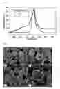 Fig. 06 - Ni-based lithium transition metal oxide