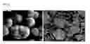 Fig. 13 - Ni-based lithium transition metal oxide