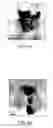 Fig. 07 - Method for producing nano-scale θ-phase alumina microparticles