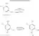 Fig. 07 - Diagnosis by determination of hyperactivity or increased expression of members of cell signaling pathways
