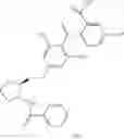 Fig. 28 - Diagnosis by determination of hyperactivity or increased expression of members of cell signaling pathways