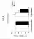 Fig. 06 - Composition for promoting production of type 1 collagen and/or elastin