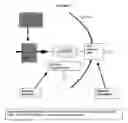 Fig. 06 - Compositions and methods of therapy