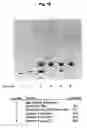 Fig. 03 - N-terminally chemically modified protein compositions and methods