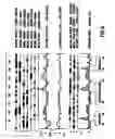 Fig. 07 - Interleukin-19