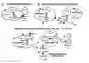 Fig. 01 - Materials and method of modulating the immune response