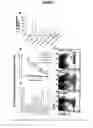 Fig. 07 - Materials and method of modulating the immune response