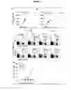 Fig. 14 - Materials and method of modulating the immune response