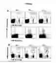 Fig. 15 - Materials and method of modulating the immune response