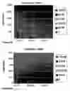 Fig. 09 - Compounds promoting delivery of genes