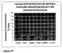 Fig. 11 - Compounds promoting delivery of genes