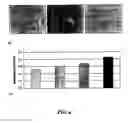 Fig. 04 - Mammalian cell culture medium