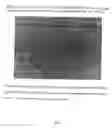 Fig. 06 - Established cell line of microglia