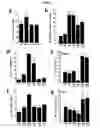 Fig. 04 - Methods for promoting dopaminergic neuronal development by using ng4a-subfamily and wnt-ligands