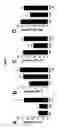 Fig. 07 - Methods for promoting dopaminergic neuronal development by using ng4a-subfamily and wnt-ligands