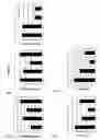 Fig. 12 - Methods for promoting dopaminergic neuronal development by using ng4a-subfamily and wnt-ligands