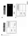 Fig. 03 - Method for preventing or treating the development of respiratory allergies