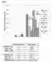 Fig. 04 - Selection and use of lactic acid bacteria for reducing inflammation in mammals