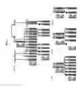 Fig. 02 - ADAMTS13 genes and proteins and variants and therapeutic compositions and methods utilizing the same