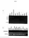 Fig. 06 - ADAMTS13 genes and proteins and variants and therapeutic compositions and methods utilizing the same