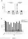 Fig. 08 - Immunointeractive molecules and uses thereof