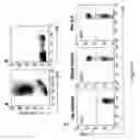 Fig. 10 - Immunointeractive molecules and uses thereof