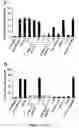 Fig. 13 - Immunointeractive molecules and uses thereof