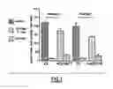 Fig. 02 - Use of anti-CD100 antibodies for the treatment of inflammatory disorders affecting the central or peripheral nervous system