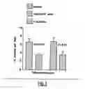 Fig. 04 - Use of anti-CD100 antibodies for the treatment of inflammatory disorders affecting the central or peripheral nervous system