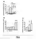 Fig. 05 - Use of anti-CD100 antibodies for the treatment of inflammatory disorders affecting the central or peripheral nervous system