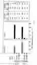 Fig. 07 - Methods for selectively modulating a Th2-type response within a population of activated CD4+ T cells