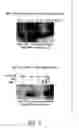 Fig. 07 - Antibodies specific for sclerostin