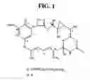 Fig. 02 - Compositions and methods for treating cancer using immunoconjugates and chemotherapeutic agents