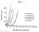 Fig. 09 - Compositions and methods for treating cancer using immunoconjugates and chemotherapeutic agents