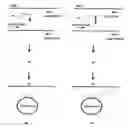 Fig. 01 - Focussed antibody technology