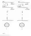Fig. 02 - Focussed antibody technology