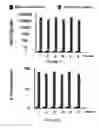 Fig. 02 - Non-immunosuppressive immunogenic or vaccine composition comprising a mutated E7 protein of the HPV-16 virus