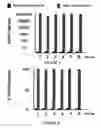 Fig. 06 - Non-immunosuppressive immunogenic or vaccine composition comprising a mutated E7 protein of the HPV-16 virus