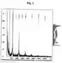Fig. 03 - Monoclonal antibody against hepatitis E virus or its fragment with binding activity and use thereof