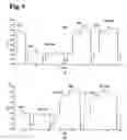 Fig. 06 - Monoclonal antibody against hepatitis E virus or its fragment with binding activity and use thereof