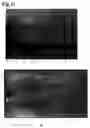 Fig. 12 - Monoclonal antibody against hepatitis E virus or its fragment with binding activity and use thereof
