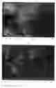 Fig. 13 - Monoclonal antibody against hepatitis E virus or its fragment with binding activity and use thereof