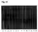 Fig. 18 - Monoclonal antibody against hepatitis E virus or its fragment with binding activity and use thereof
