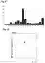 Fig. 20 - Monoclonal antibody against hepatitis E virus or its fragment with binding activity and use thereof