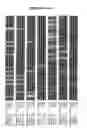 Fig. 08 - 85kDa neisserial antigen