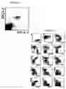 Fig. 03 - Method for isolating BDCA-4+ dendritic cells