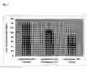 Fig. 05 - Micro/nanoparticle obtained from lipid-containing marine organisms for use in pharmaceutics and cosmetics