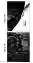 Fig. 19 - Matrix composed of a naturally-occurring protein backbone cross linked by a synthetic polymer and methods of generating and using same